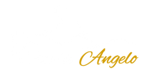 Studio Angelo